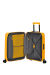 Mala de Cabine 55cm Expansível 4 Rodas Amarelo-Dourado - DashPop | American Tourister